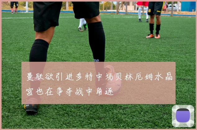 曼联欲引进多特中场贝林厄姆水晶宫也在争夺战中角逐