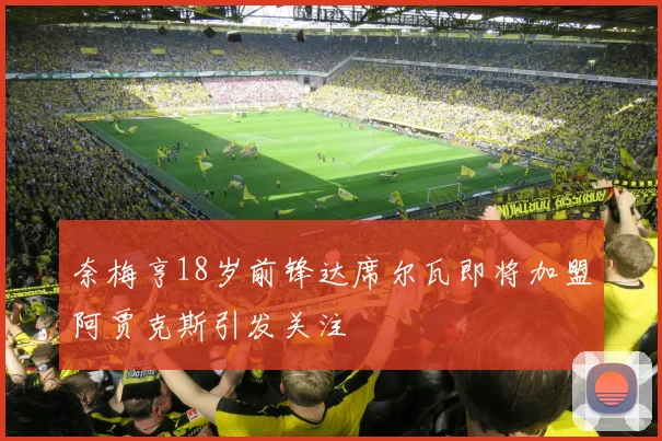 奈梅亨18岁前锋达席尔瓦即将加盟阿贾克斯引发关注