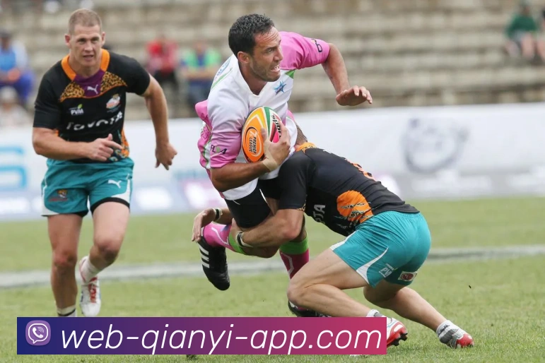 多媒体互动体验